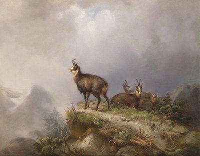 Carl Ockert Chamois tekijältä Carl Friedrich Ockert