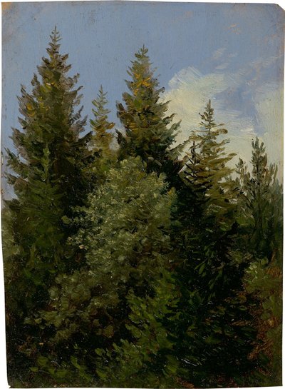 Firs tekijältä Carl Gustav Carus