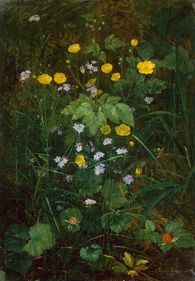 Buttercups ja Forget-Me-Nots metsäkerroksessa tekijältä Carl Henrik Koch Moller