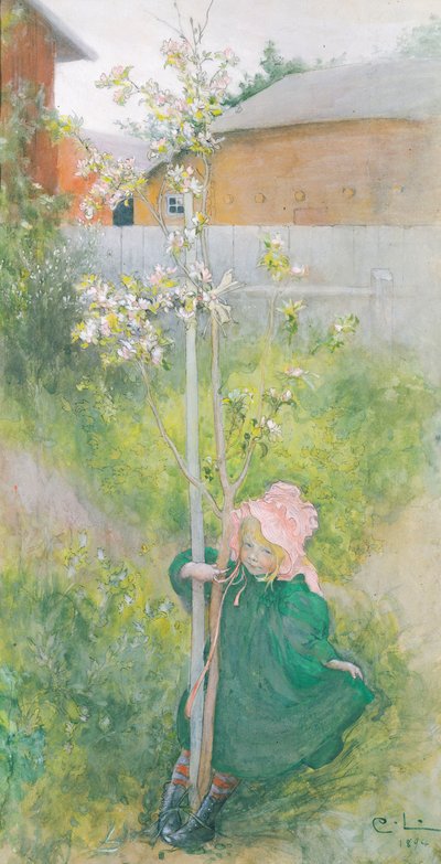 Omenakukka, 1894 tekijältä Carl Larsson