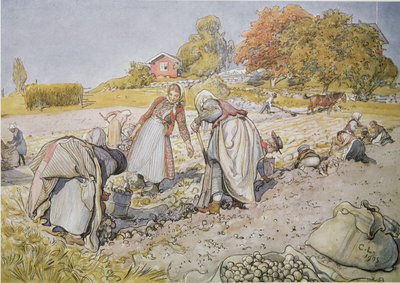 Perunoiden kaivaminen tekijältä Carl Larsson