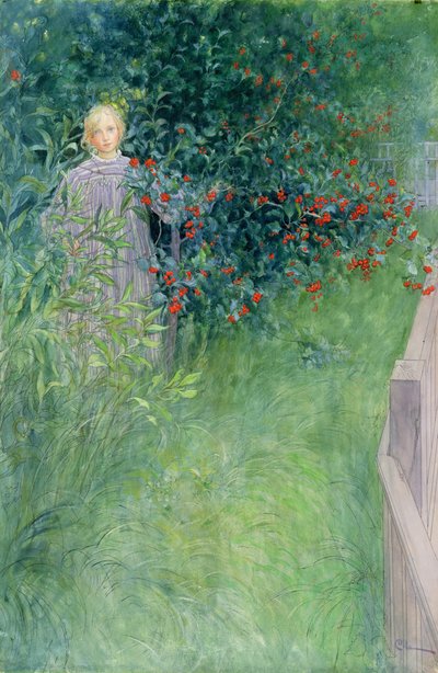 Hawthorn Hedgessä tekijältä Carl Larsson