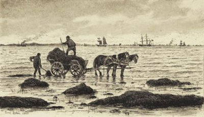 Maanviljelijät ajavat merilevää tekijältä Carl Locher