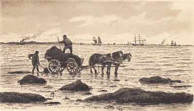 Maanviljelijät ajavat merilevää tekijältä Carl Locher