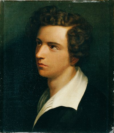 El pintor Joseph Hasslwanderfinnish tekijältä Carl Rahl