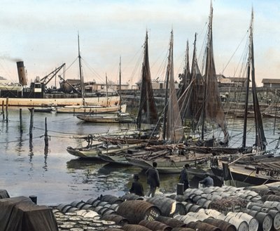 Satama, Charente-Maritime, Ranska (kuva) tekijältä Carl Simon