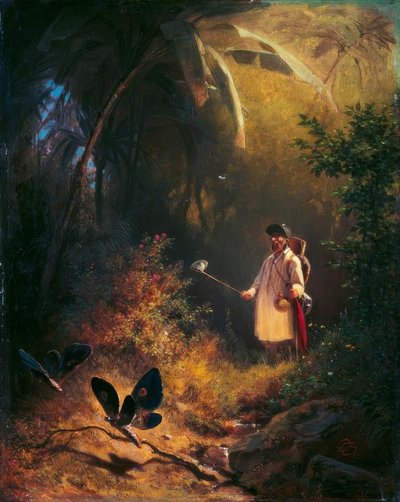 Perhosen sieppari tekijältä Carl Spitzweg