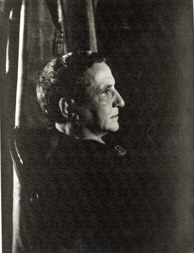 Gertrude Stein (1874-1946) 4. marraskuuta 1934 (gelatiinihopeakuvio) tekijältä Carl Van Vechten