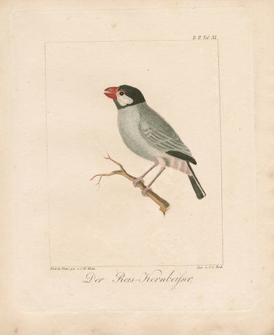  tekijältä Carl Wilhelm Hahn
