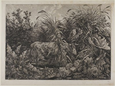 Lehmä purossa tekijältä Carl Wilhelm Kolbe the elder