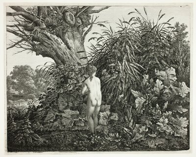 Nymfi suoisessa metsässä tekijältä Carl Wilhelm Kolbe, the elder