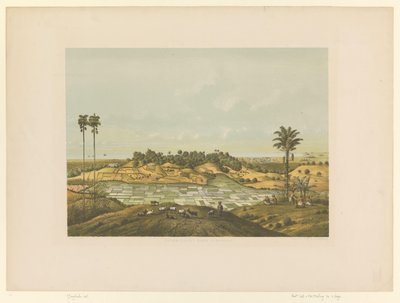 Näkymä maisemaan lähellä Semarangia Pohjoisrannikko Semarangissa (otsikko esineessä) tekijältä Carl Wilhelm Mieling (possibly)