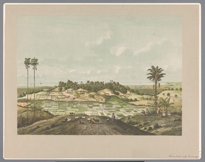 Pohjoisrannikolla lähellä Semarangia tekijältä Carl Wilhelm Mieling (possibly)
