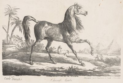 Sarja hevosista: Arabian Horse tekijältä Carle Vernet