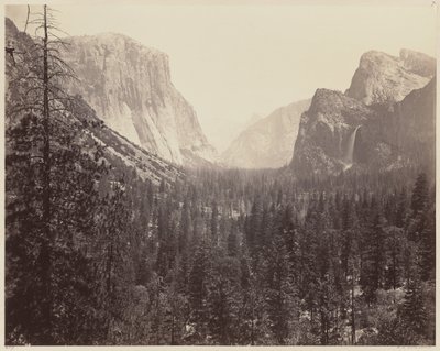 Yosemiten laakso Mariposa Traililta tekijältä Carleton E. Watkins