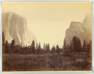 Yosemite, Mariposa Trailin juurelta laaksoon ylös, no. 9 tekijältä Carleton E. Watkins