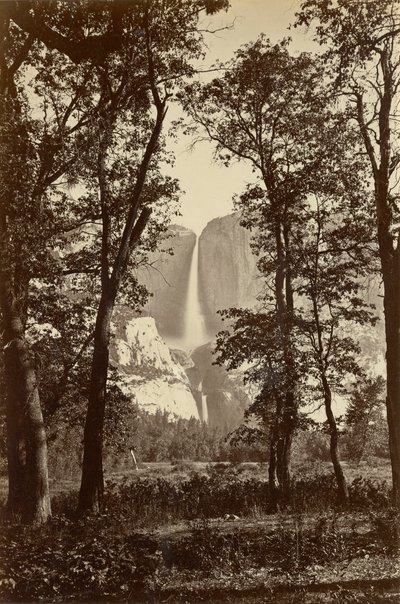Yosemite Falls, 2634 jalkaa tekijältä Carleton E. Watkins