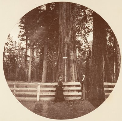 Auld Reckie. C. Grove, n. 1878. tekijältä Carleton Emmons Watkins