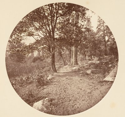 Yosemiten laaksossa n. 1878. tekijältä Carleton Emmons Watkins