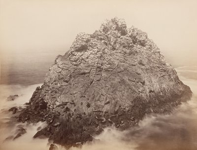 Sugar Loaf Islands, Farallons, 1868-69. tekijältä Carleton Emmons Watkins