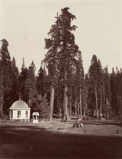 Sentinel, 315 jalkaa, 1865-66, painettu n. 1876. tekijältä Carleton Emmons Watkins