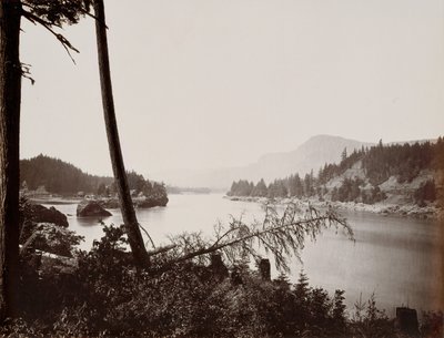 Näkymä Columbiaan, Cascades, 1867. tekijältä Carleton Emmons Watkins