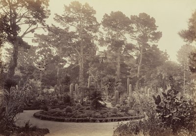  tekijältä Carleton Watkins