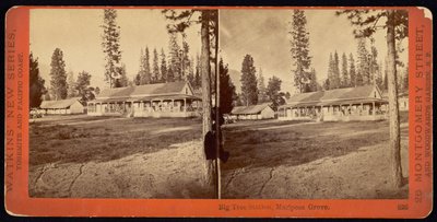 Big Tree Station, Mariposa Grove tekijältä Carleton Watkins