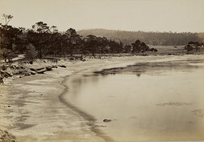  tekijältä Carleton Watkins