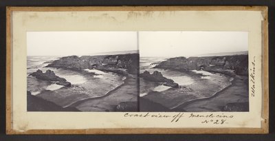 Mendocinon rannikonäkymä tekijältä Carleton Watkins