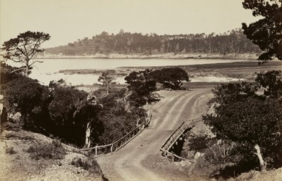 [Rannikkonäkymä lähellä Montereya] tekijältä Carleton Watkins