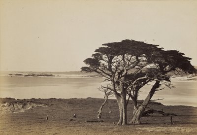  tekijältä Carleton Watkins