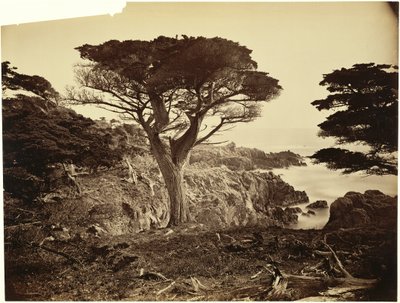  tekijältä Carleton Watkins