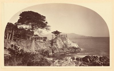  tekijältä Carleton Watkins