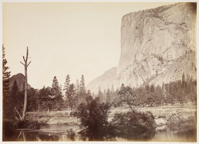  tekijältä Carleton Watkins
