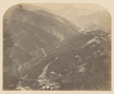 [Josephine ja Pine Tree] tekijältä Carleton Watkins