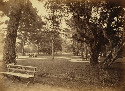 [Monterey, Kalifornia. Hotel Del Monte, Lawn View]. tekijältä Carleton Watkins