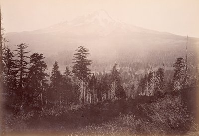  tekijältä Carleton Watkins
