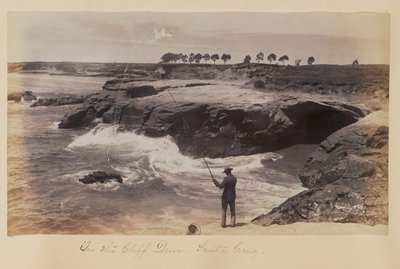  tekijältä Carleton Watkins