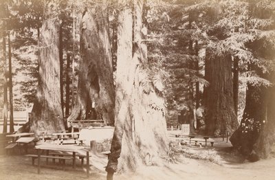  tekijältä Carleton Watkins