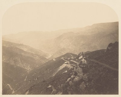 [Pine Tree Mine] tekijältä Carleton Watkins