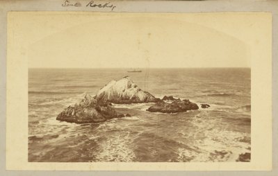 Seal Rocks. tekijältä Carleton Watkins