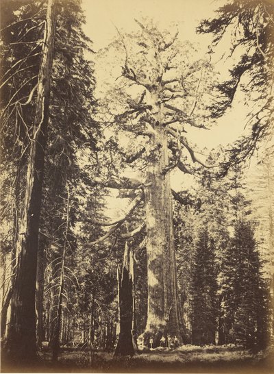  tekijältä Carleton Watkins