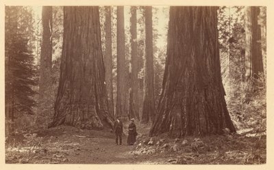  tekijältä Carleton Watkins