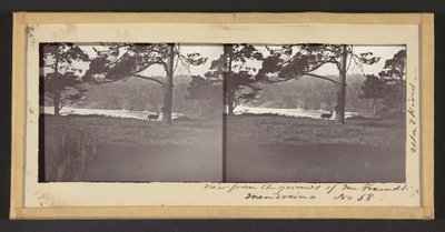 Näkymä Mr. Freundt, Mendocino tekijältä Carleton Watkins