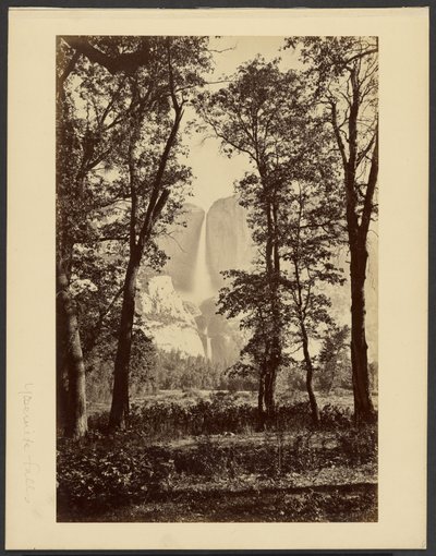  tekijältä Carleton Watkins