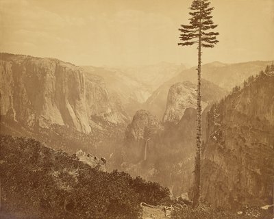  tekijältä Carleton Watkins