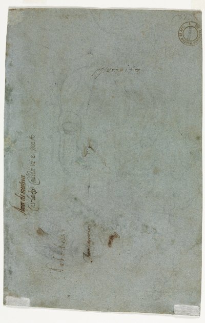 Luonnos lapsen pään versosta, c. 1586. tekijältä Carletto Caliari