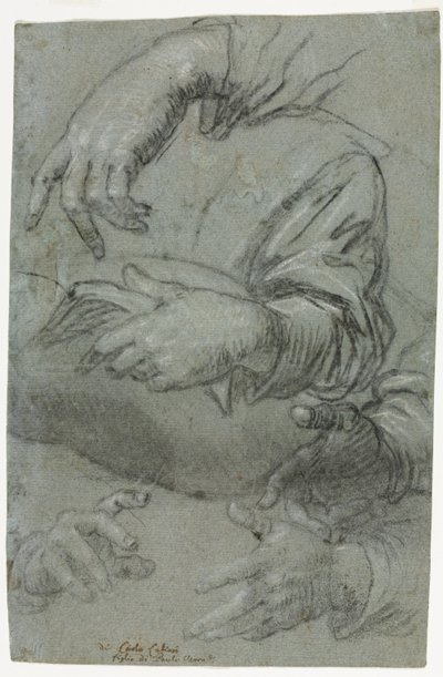 Studies of Hands recto, Luonnos lapsen päästä verso, n. 1586. tekijältä Carletto Caliari
