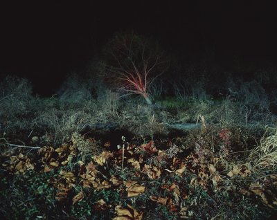 Maalaus pimeässä, 2011 tekijältä Carli Choi